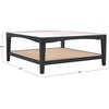 SAFAVIEH Couture Collection Nicolella Natural Solid Wood/Glass Top Square Coffee Table(Black)