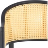 SAFAVIEH Couture Collection Rogue Black/Natural Rattan 27-inch Seat Height Bar Stool (Fully Assembled)(Black/Natural)