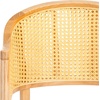 SAFAVIEH Couture Collection Rogue Black/Natural Rattan 27-inch Seat Height Bar Stool (Fully Assembled)(Natural)