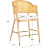 SAFAVIEH Couture Collection Rogue Black/Natural Rattan 27-inch Seat Height Bar Stool (Fully Assembled)(Natural)