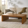 SAFAVIEH Couture Collection Tawney Black Rectangle Coffee Table(Natural)