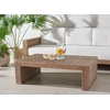SAFAVIEH Couture Outdoor Collection Santiago Natural Solid Wood Coffee Table