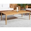 SAFAVIEH Couture Outdoor Collection Tortuga Natural Brown Solid Wood Patio Coffee Table
