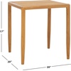 SAFAVIEH Couture Outdoor Tortuga Natural/White Solid Wood Accent Chair