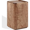 SAFAVIEH Couture Collection – Torryn Brown Burl Accent Table, Sculptural Wood Side Table, Fully Assembled (SFV5804A)(Walnut Burl)