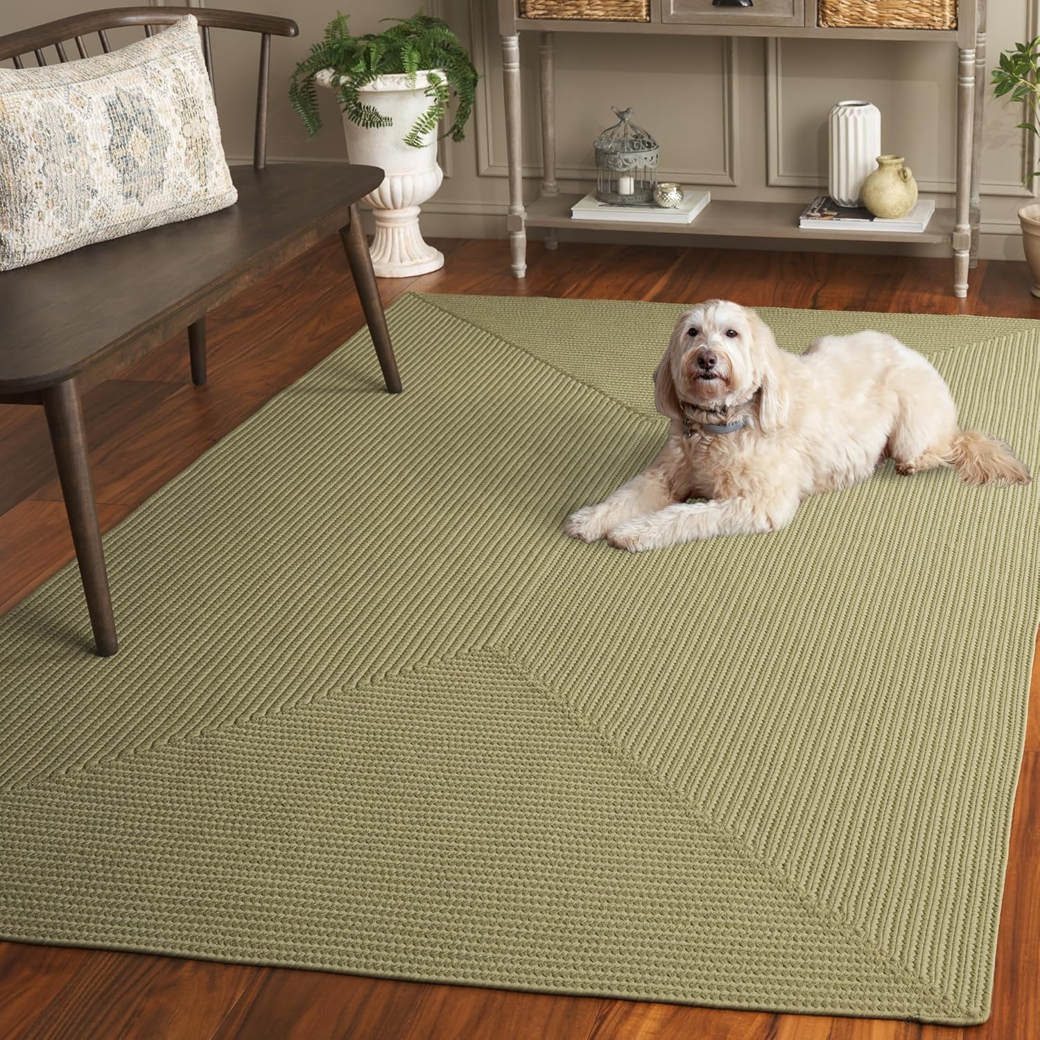 image:imageSAFAVIEH Washable Rug Outdoor Braided Collection 5 x 8 Oval Green Handmade amp Reversible NonShedding amp Easy to Clean Ideal for Patio Backyard Mudroom BRD315ASage