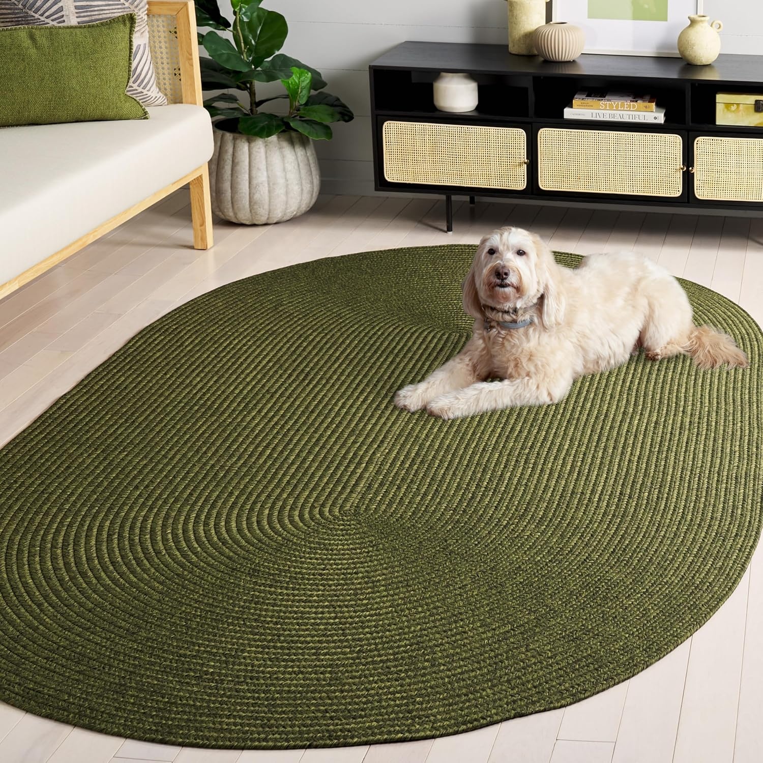 image:imageSAFAVIEH Washable Rug Outdoor Braided Collection 5 x 8 Oval Green Handmade amp Reversible NonShedding amp Easy to Clean Ideal for Patio Backyard Mudroom BRD315AGreen
