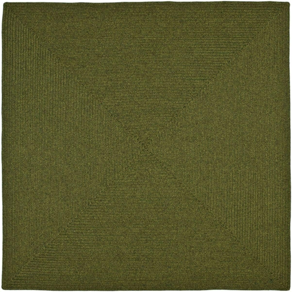 image:imageSAFAVIEH Washable Rug Outdoor Braided Collection 5 x 8 Oval Green Handmade amp Reversible NonShedding amp Easy to Clean Ideal for Patio Backyard Mudroom BRD315AGreen