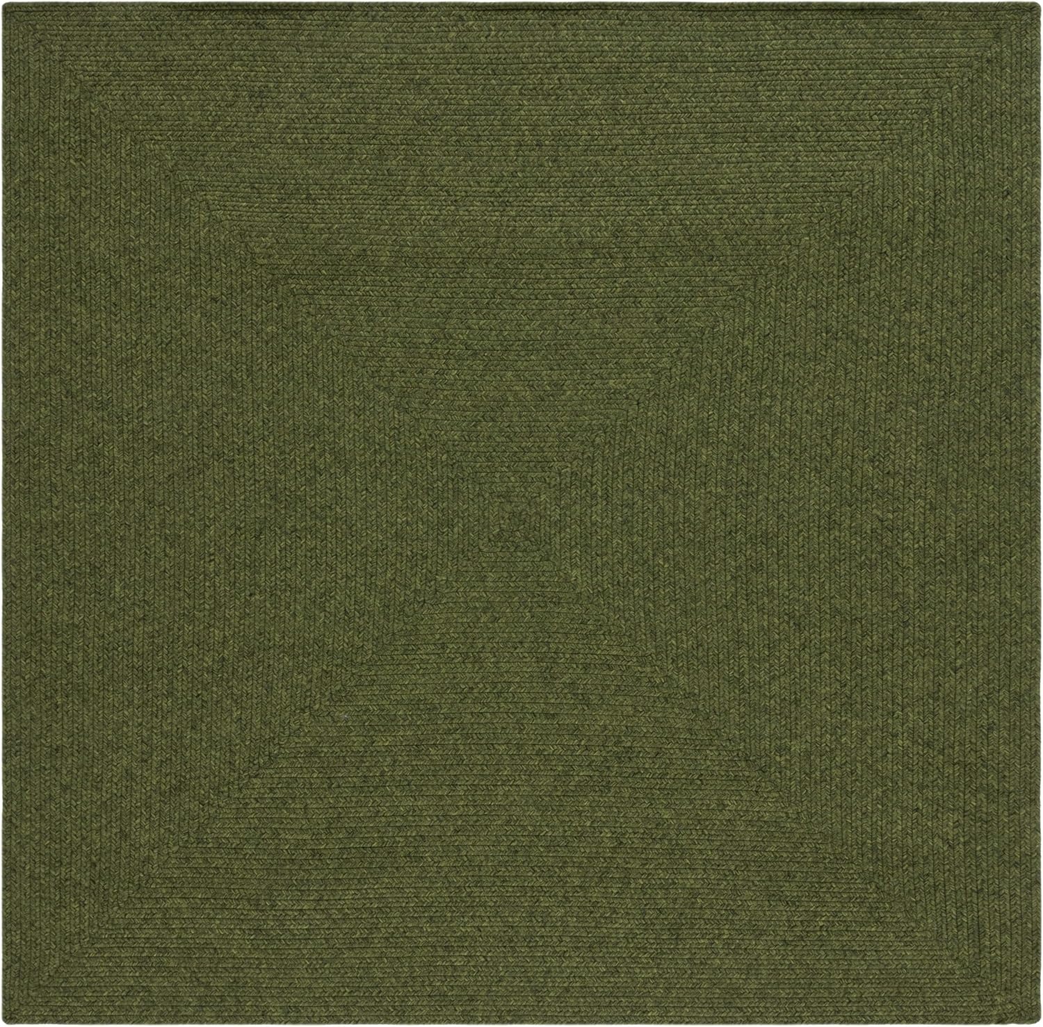 image:imageSAFAVIEH Washable Rug Outdoor Braided Collection 5 x 8 Oval Green Handmade amp Reversible NonShedding amp Easy to Clean Ideal for Patio Backyard Mudroom BRD315AGreen
