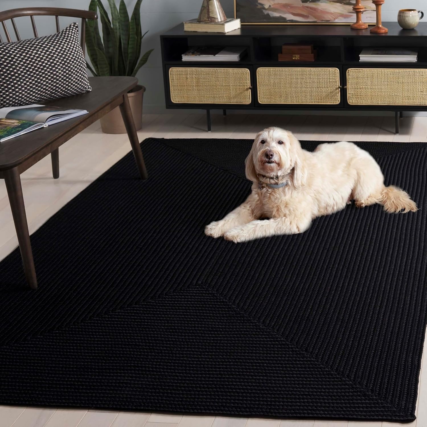 image:imageSAFAVIEH Washable Rug Outdoor Braided Collection 5 x 8 Oval Green Handmade amp Reversible NonShedding amp Easy to Clean Ideal for Patio Backyard Mudroom BRD315ABlack