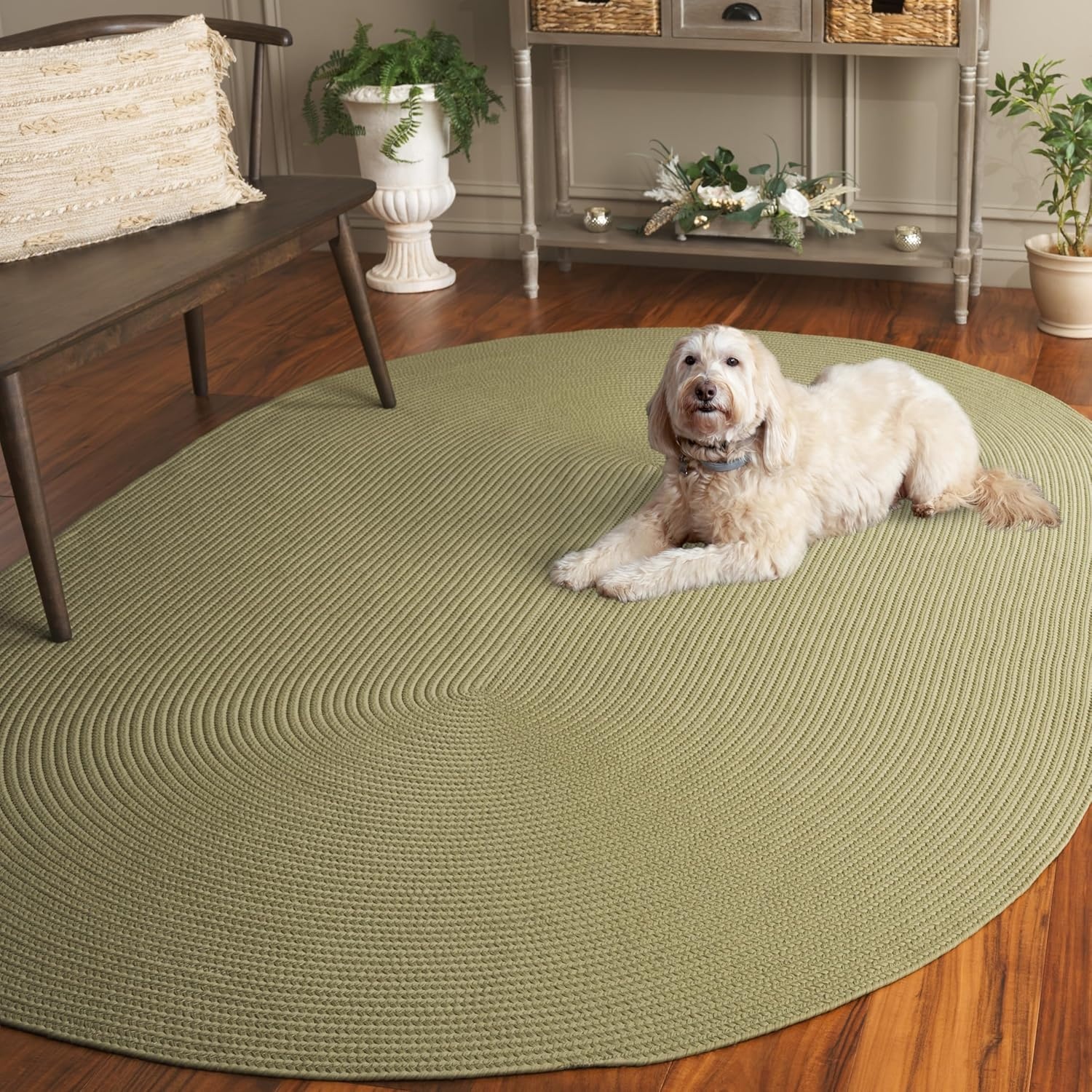 image:imageSAFAVIEH Washable Rug Outdoor Braided Collection 5 x 8 Oval Green Handmade amp Reversible NonShedding amp Easy to Clean Ideal for Patio Backyard Mudroom BRD315ASage