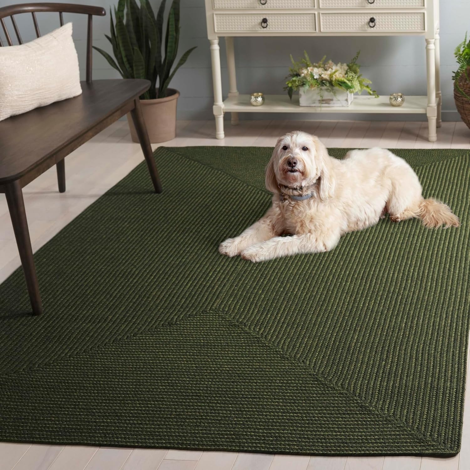 image:imageSAFAVIEH Washable Rug Outdoor Braided Collection 5 x 8 Oval Green Handmade amp Reversible NonShedding amp Easy to Clean Ideal for Patio Backyard Mudroom BRD315AGreen