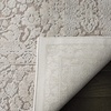 SAFAVIEH Area Rug 8×10 – Reflection Collection – Large – Cream & Ivory, Non-Shedding & Easy Cleaning, Ideal for Living Room, Bedroom, Dining Space (RFT667D)(Beige/Cream)