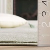 SAFAVIEH Area Rug 8×10 – Revive Collection – Large – Green, Solid Pattern, Non-Shedding & Easy Cleaning, Ideal for Living Room, Bedroom, Office, Dining Space (REV102Y)(Sage)