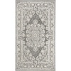 SAFAVIEH Area Rug 8×10 – Reflection Collection – Large – Cream & Ivory, Non-Shedding & Easy Cleaning, Ideal for Living Room, Bedroom, Dining Space (RFT664D)(Dark Grey/Cream)