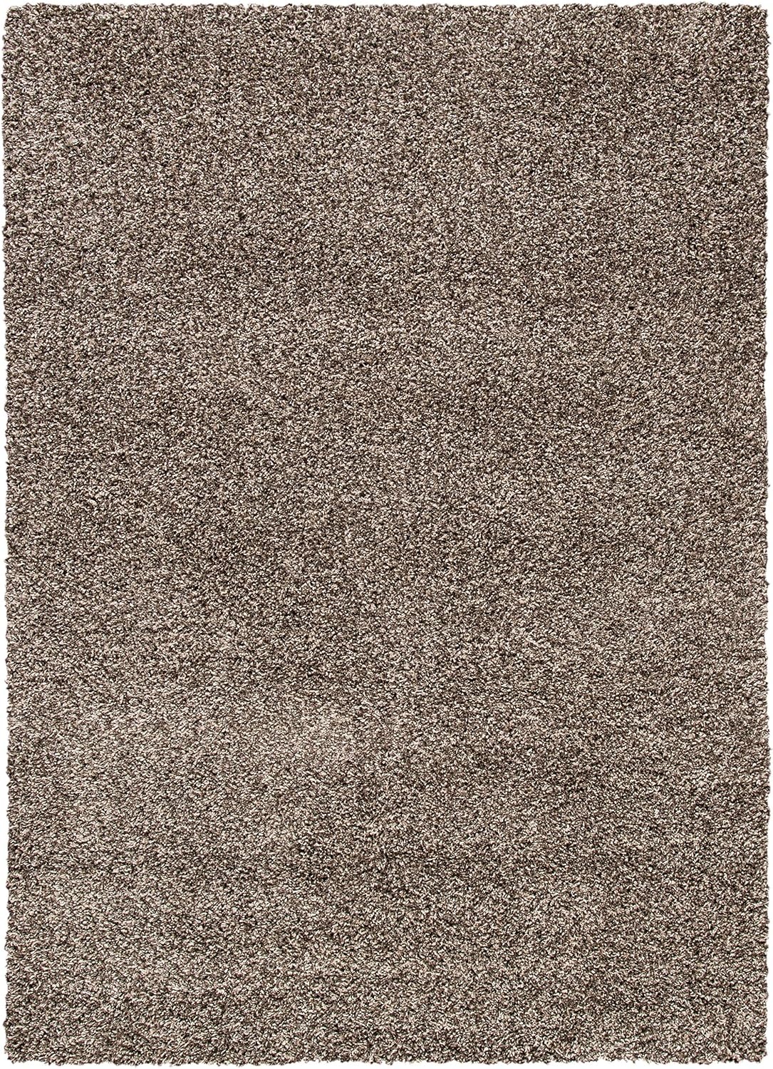 image:imageSAFAVIEH Area Rug 8x10 Evolution Shag Collection Large Grey Solid Design NonShedding amp Easy Cleaning Ultra Plush Thick Pile Ideal for Living Room Bedroom Dining Space EVO520FBrown