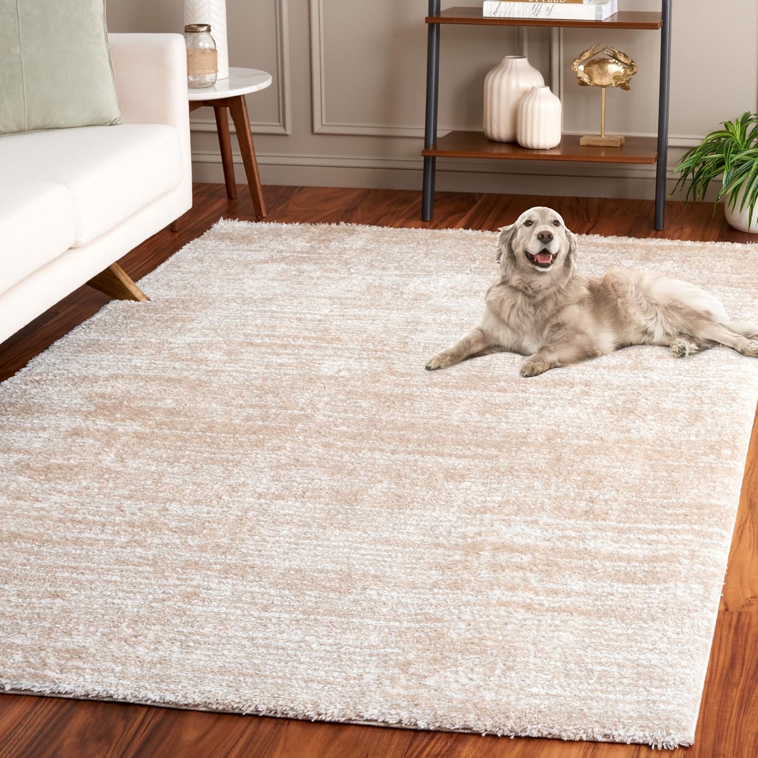 image:imageSAFAVIEH Area Rug 8x10 Tahoe Shag Collection Large Ivory amp Grey Modern Design NonShedding amp Easy Cleaning Plush Thick Pile Ideal for Living Room Bedroom Dining Space THO653AIvoryGold