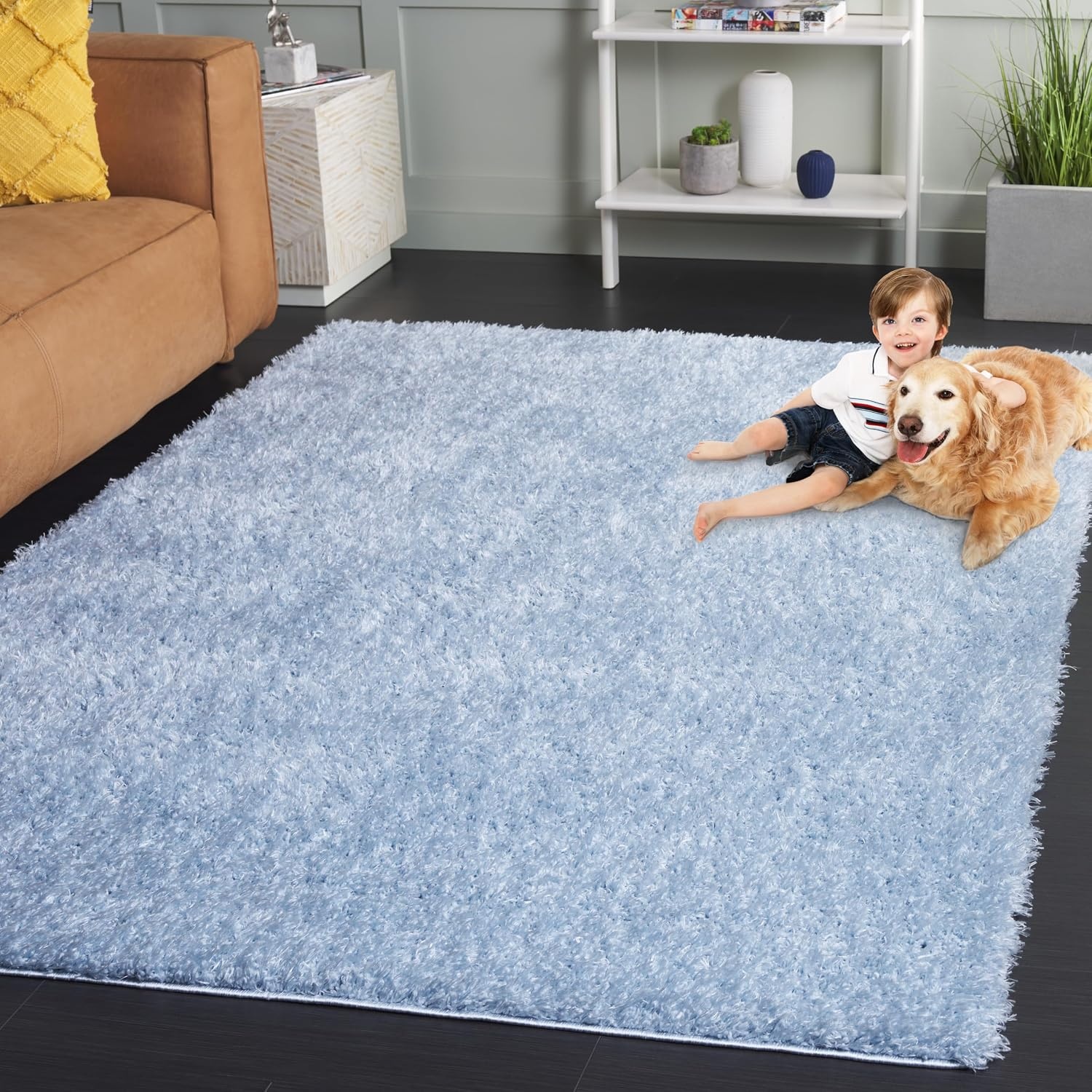 image:imageSAFAVIEH Lindsay Shag Collection Area Rug 9 x 12 Beige Modern Design 2inch Thick Ideal for the Living Room Dining Bedroom LNS560BAqua
