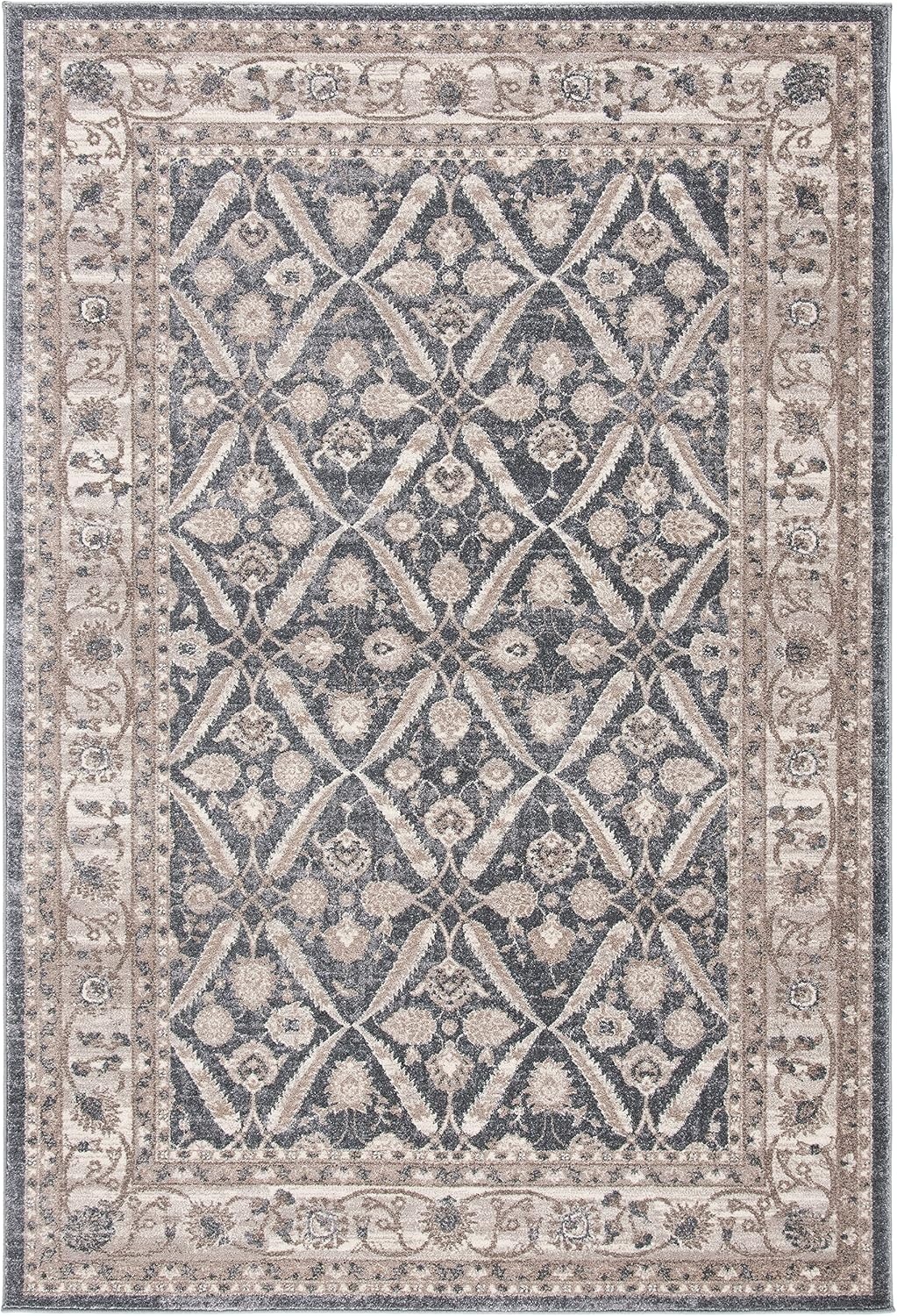 image:imageSAFAVIEH Sofia Collection Area Rug 9 x 12 Blue amp Beige Vintage Oriental Distressed Design NonShedding amp Easy Care Ideal for High Traffic Areas in Living Room Bedroom SOF378CDark GreyBeige