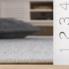 SAFAVIEH Adirondack Collection Area Rug – 10′ x 14′, Black & Grey, Modern Design, Non-Shedding & Easy Care, Ideal for High Traffic Areas in Living Room, Bedroom (ADR183F)(Light Grey/Dark Grey)