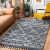 SAFAVIEH Area Rug 8×10 – Pro Luxe Shag Collection – Large – Ivory & Light Grey, Tassel Design, Non-Shedding & Easy Cleaning, Plush Thick Pile, Ideal for Living Room, Bedroom, Dining Space (PLX436A)(Dark Grey/Ivory)