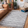 SAFAVIEH Area Rug 8×10 – Pro Luxe Shag Collection – Large – Ivory & Light Grey, Tassel Design, Non-Shedding & Easy Cleaning, Plush Thick Pile, Ideal for Living Room, Bedroom, Dining Space (PLX436A)(Grey/Ivory)