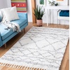 SAFAVIEH Area Rug 8×10 – Pro Luxe Shag Collection – Large – Ivory & Light Grey, Tassel Design, Non-Shedding & Easy Cleaning, Plush Thick Pile, Ideal for Living Room, Bedroom, Dining Space (PLX436A)(Ivory/Grey)
