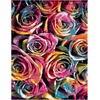 SAFAVIEH Fiesta Shag Collection Area Rug – 9′ x 12′, Fuchsia & Multi, Rainbow Rose Design, Non-Shedding & Easy Care, 0.5-inch Thick Ideal for High Traffic Areas in Living Room, Bedroom (FSG366B)