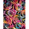 SAFAVIEH Fiesta Shag Collection Area Rug – 9′ x 12′, Fuchsia & Multi, Rainbow Rose Design, Non-Shedding & Easy Care, 0.5-inch Thick Ideal for High Traffic Areas in Living Room, Bedroom (FSG366B)