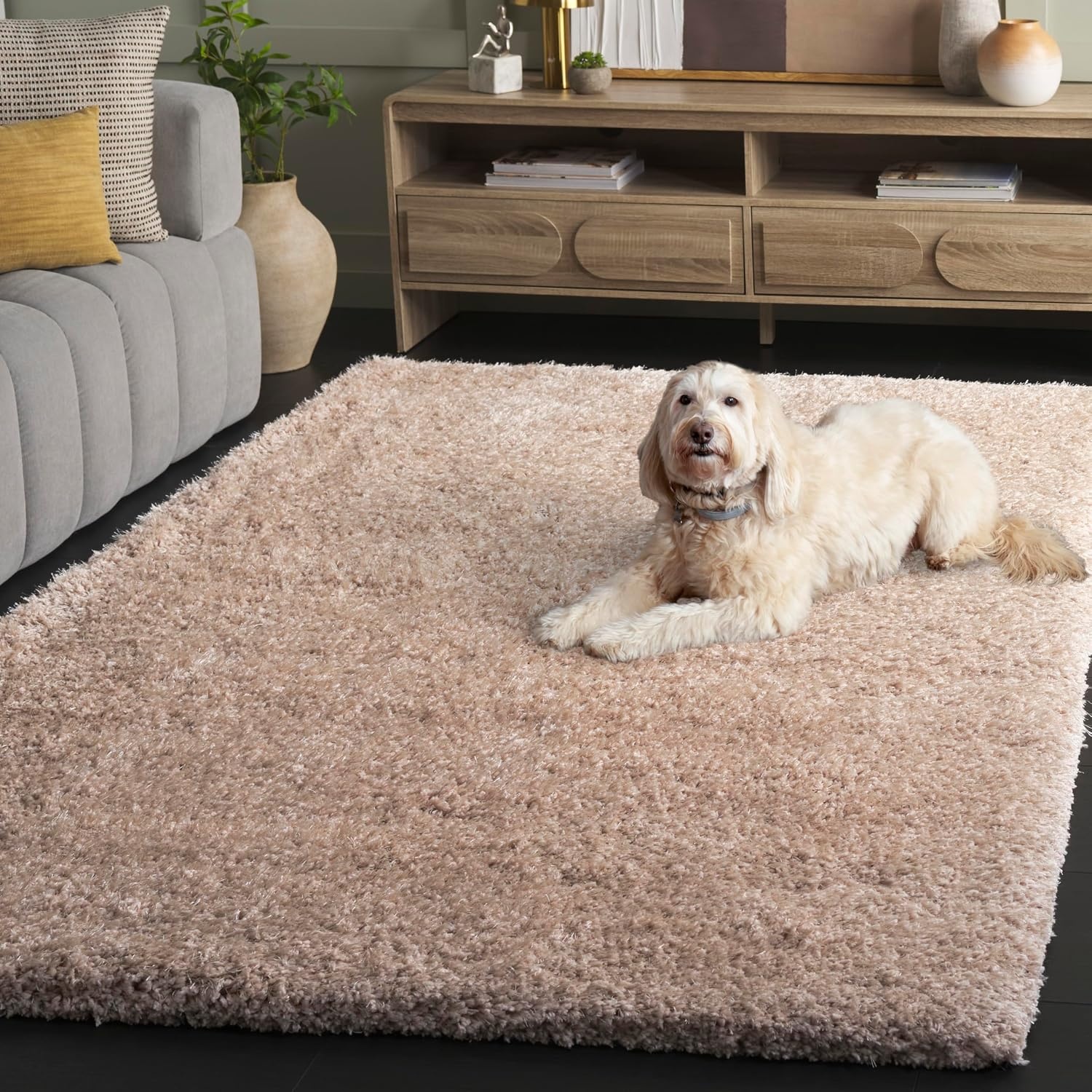 image:imageSAFAVIEH Area Rug 8x10 Express Shag Collection Large Silver Handmade Ultra Plush Thick Pile Ideal for Living Room Bedroom Dining Space SGE620CBeige