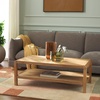 SAFAVIEH Home Collection Omara Walnut Brown 1-Shelf Coffee Table(Natural)
