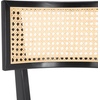 SAFAVIEH Home Collection Galway Navy/Natural 27-inch Seat Height Counter Stool for Kitchen Island Breakfast Nook(Black/Natural)