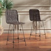 SAFAVIEH Home Collection Minerva Dark Brown Rattan/Black Counter Stool Set of 2(Dark Brown/Black)