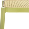 SAFAVIEH Home Collection Palmyra Green/Natural 24-inch Seat Height Counter Stool for Kitchen Island Breakfast Nook