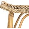 Safavieh Leda Bar Stool Brown(Brown)