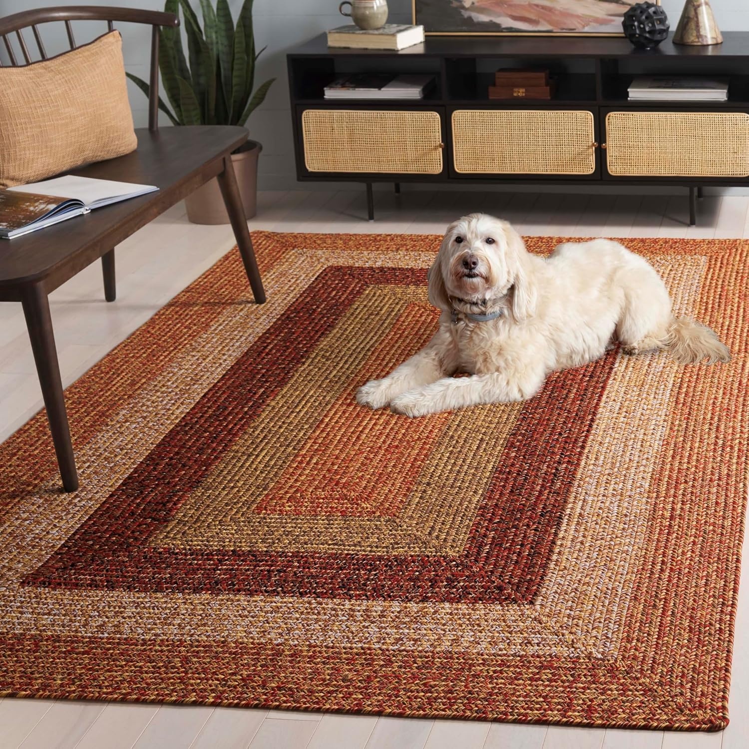 image:imageSAFAVIEH Washable Rug Outdoor Braided Collection 6 x 9 Oval Brown amp Light Brown Handmade amp Reversible NonShedding amp Easy to Clean Ideal for Patio Backyard Mudroom BRD318SRustRed