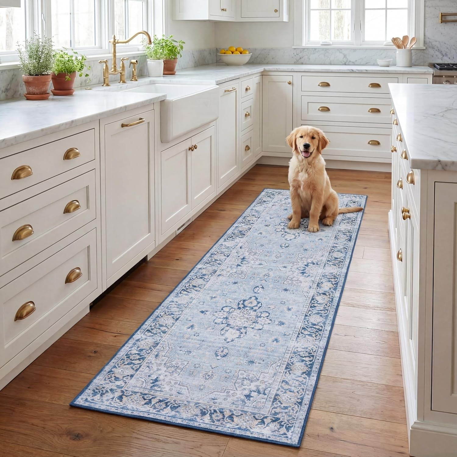 image:imageSAFAVIEH Washable Rug Tucson Collection 5 x 8 Light Blue amp Navy Slip Resistant amp Easy to Clean Ideal for Living Room Bedroom Dining Space TSN147MLight BlueNavy