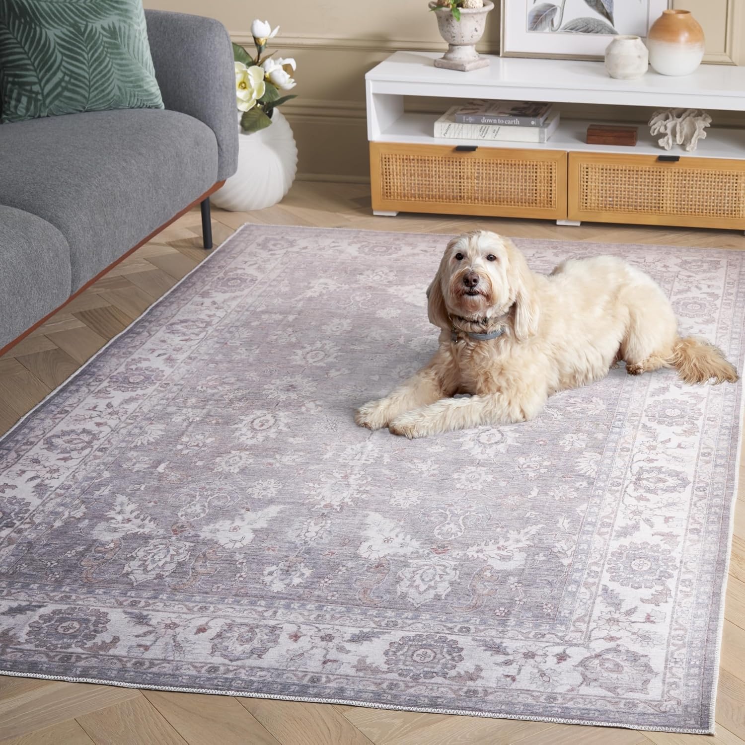 image:imageSafavieh Washable Rug Arizona Collection 8 x 10 Grey amp Ivory Slip Resistant amp Easy to Clean Ideal for Living Room Bedroom Home Office Dining Space ARZ197FGreyIvory