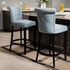 Safavieh Hudson Collection Addo Ring Charcoal and Espresso 29.7-inch Bar Stool(Sky Blue)