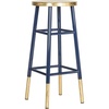 Navy / Gold