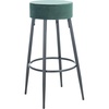 Malachite Green / Black
